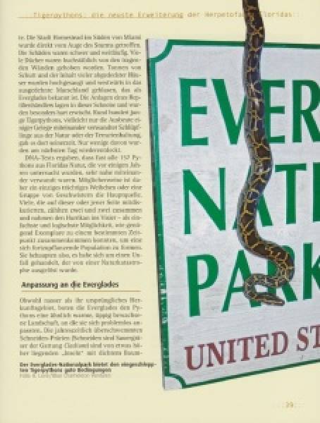 Preview: Tigerpythons